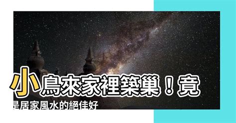 小鳥來家裡|小鳥築巢風水秘訣